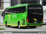 Pássaro Verde 23181 na cidade de Divinópolis, Minas Gerais, Brasil, por Igor Policarpo. Número da foto: #11658902.