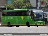 Pássaro Verde 23181 na cidade de Divinópolis, Minas Gerais, Brasil, por Igor Policarpo. Número da foto: #11658881.