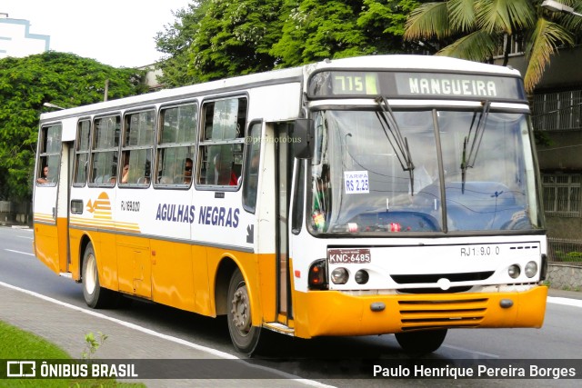 Viação Agulhas Negras RJ 169.020 na cidade de Volta Redonda, Rio de Janeiro, Brasil, por Paulo Henrique Pereira Borges. Número da foto: #11662105.