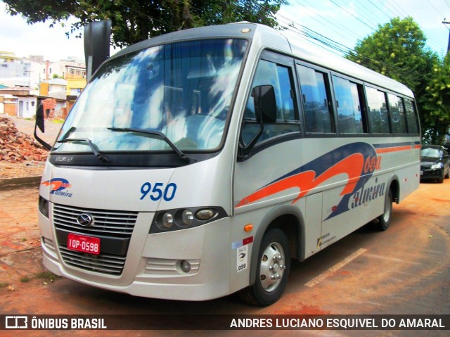 Nova Palmira Viagens e Turismo 950 na cidade de Caxias do Sul, Rio Grande do Sul, Brasil, por ANDRES LUCIANO ESQUIVEL DO AMARAL. ID da foto: 11662106.