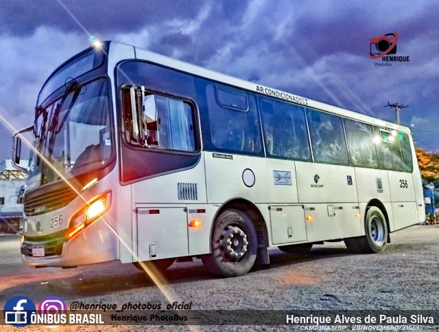 Cooperatas 256 na cidade de Campinas, São Paulo, Brasil, por Henrique Alves de Paula Silva. Número da foto: #11661460.