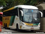Empresa Gontijo de Transportes 18080 na cidade de São Paulo, São Paulo, Brasil, por Wesley Monteiro. Número da foto: #11661884.