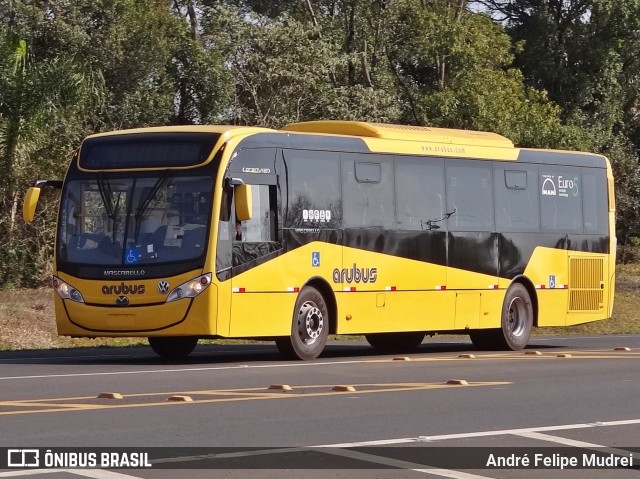 Arubus  na cidade de Fernandes Pinheiro, Paraná, Brasil, por André Felipe Mudrei. ID da foto: 11593015.