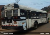Consorcio Rosa de las Américas S.R.L. 65 na cidade de Puente Piedra, Lima, Lima Metropolitana, Peru, por Anthonel Cruzado. Número da foto: #11594390.