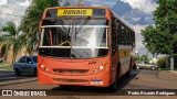 Transporte Rural 2B60 na cidade de Pirassununga, São Paulo, Brasil, por Pedro Ricardo Rodrigues. Número da foto: #11593170.