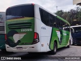 Pássaro Verde 11096 na cidade de Belo Horizonte, Minas Gerais, Brasil, por MAXI MORAIS. Número da foto: #11594511.