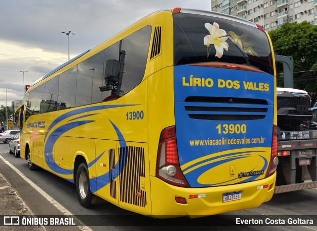 Viação Lírio dos Vales 13900 na cidade de Cariacica, Espírito Santo, Brasil, por Everton Costa Goltara. Número da foto: #11663142.