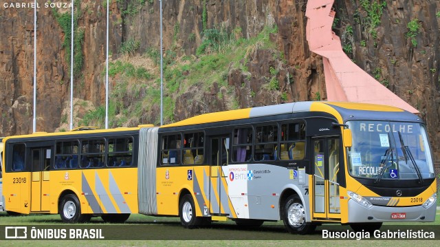 Transportes Capellini 23018 na cidade de Campinas, São Paulo, Brasil, por Busologia Gabrielística. Número da foto: #11664998.