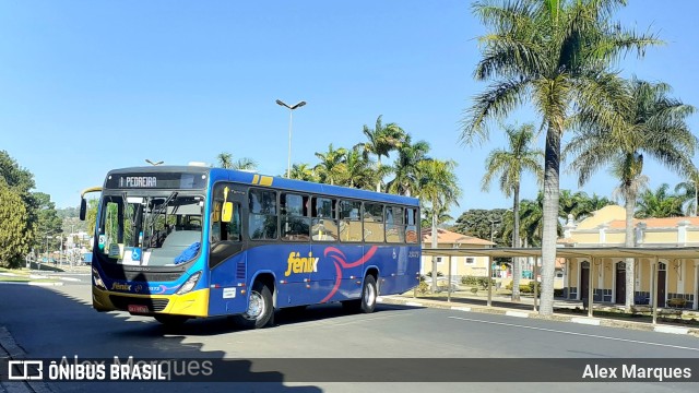 Rápido Expresso Fênix Viação 25173 na cidade de Jaguariúna, São Paulo, Brasil, por Alex Marques. Número da foto: #11596341.