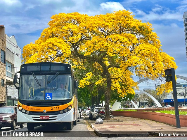 Empresa São Salvador 2 111 na cidade de Campos dos Goytacazes, Rio de Janeiro, Brasil, por Breno Vieira. ID da foto: 11596638.