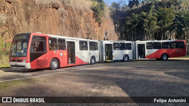 Itajaí Transportes Coletivos 2974 na cidade de Campinas, São Paulo, Brasil, por Felipe Antonini . Número da foto: #11597645.