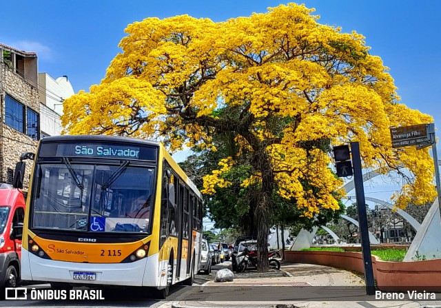 Empresa São Salvador 2 115 na cidade de Campos dos Goytacazes, Rio de Janeiro, Brasil, por Breno Vieira. ID da foto: 11596572.