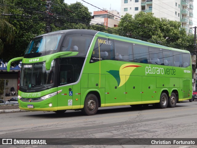 Pássaro Verde 12124 na cidade de Viçosa, Minas Gerais, Brasil, por Christian  Fortunato. Número da foto: #11598388.
