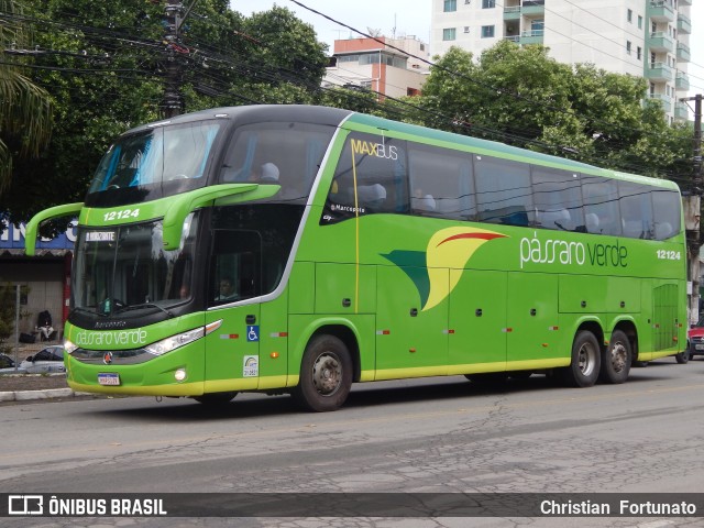 Pássaro Verde 12124 na cidade de Viçosa, Minas Gerais, Brasil, por Christian  Fortunato. ID da foto: 11598388.