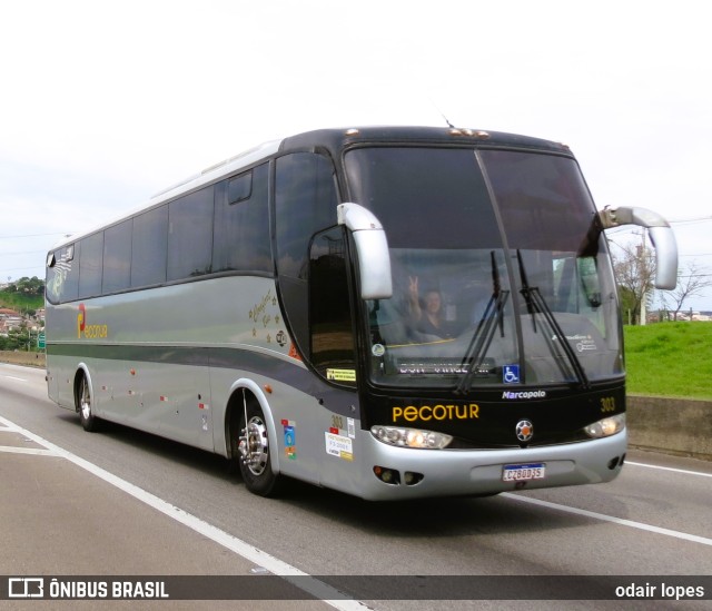 Pecotur Transporte e Turismo 303 na cidade de Caçapava, São Paulo, Brasil, por odair lopes. Número da foto: #11604413.
