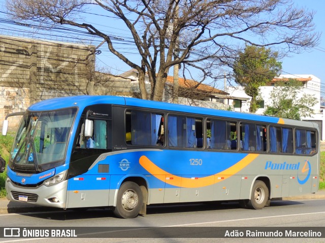 Pontual 1250 na cidade de Belo Horizonte, Minas Gerais, Brasil, por Adão Raimundo Marcelino. ID da foto: 11607094.