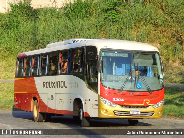 Rouxinol 2204 na cidade de Belo Horizonte, Minas Gerais, Brasil, por Adão Raimundo Marcelino. ID da foto: 11607029.