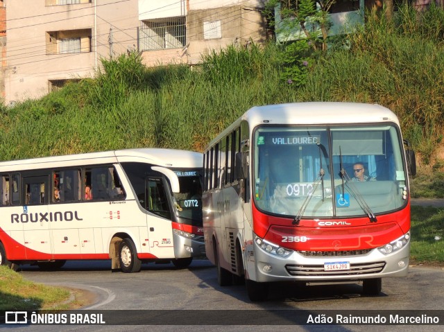 Rouxinol 2368 na cidade de Belo Horizonte, Minas Gerais, Brasil, por Adão Raimundo Marcelino. ID da foto: 11607021.