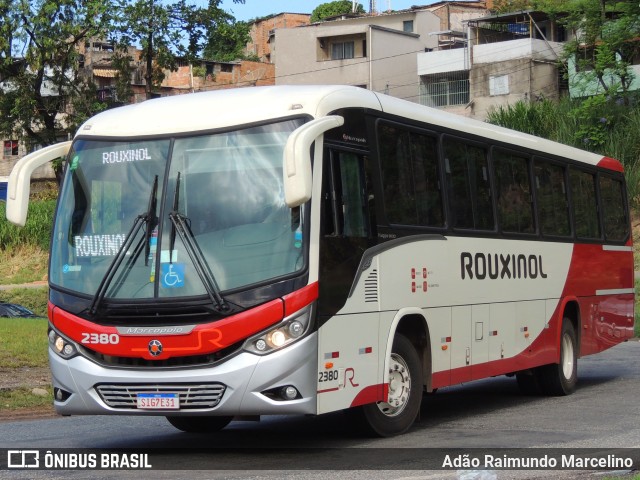 Rouxinol 2380 na cidade de Belo Horizonte, Minas Gerais, Brasil, por Adão Raimundo Marcelino. ID da foto: 11607016.