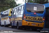 Expresso Fênix Cubatão 25114 na cidade de Cubatão, São Paulo, Brasil, por Moiséis Inácio. Número da foto: #:id.