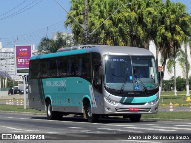 ANSAL - Auto Nossa Senhora de Aparecida 121705 na cidade de Juiz de Fora, Minas Gerais, Brasil, por André Luiz Gomes de Souza. Número da foto: #11689953.