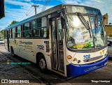Trampolim da Vitória 702 na cidade de Natal, Rio Grande do Norte, Brasil, por Thiago Henrique. Número da foto: #11688676.