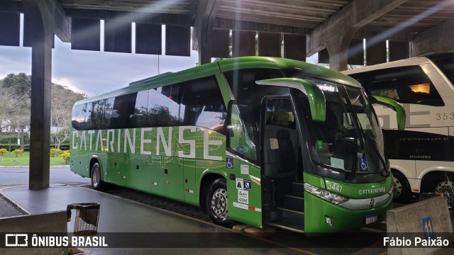 Auto Viação Catarinense 3447 na cidade de Blumenau, Santa Catarina, Brasil, por Fábio Paixão. ID da foto: 11695286.