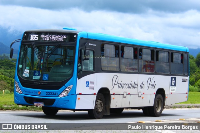 Princesinha do Vale 222341 na cidade de Resende, Rio de Janeiro, Brasil, por Paulo Henrique Pereira Borges. Número da foto: #11701585.