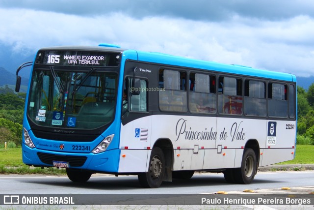 Princesinha do Vale 222341 na cidade de Resende, Rio de Janeiro, Brasil, por Paulo Henrique Pereira Borges. ID da foto: 11701585.