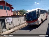 Rouxinol 2185 na cidade de Contagem, Minas Gerais, Brasil, por Antonio Machado. ID da foto: :id.