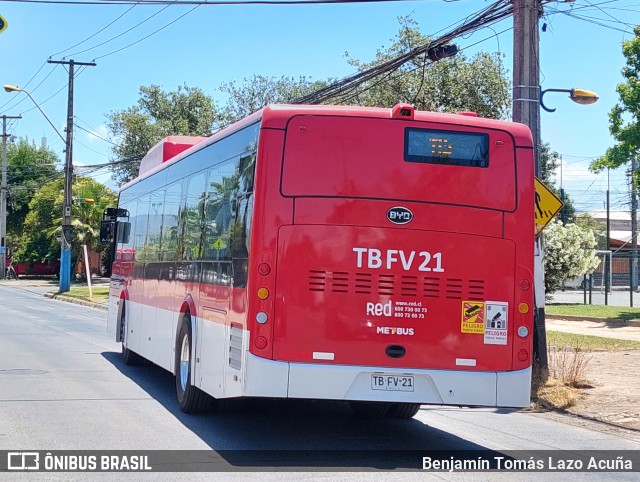 Metbus 1919 na cidade de Maipú, Santiago, Metropolitana de Santiago, Chile, por Benjamín Tomás Lazo Acuña. Número da foto: #11706207.