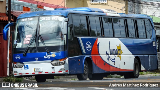 Lumaca C-195 na cidade de Catedral, San José, San José, Costa Rica, por Andrés Martínez Rodríguez. Número da foto: #11710076.