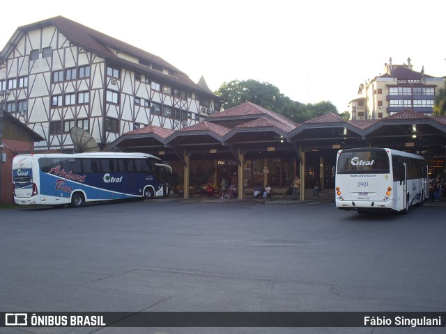 Terminais Rodoviários e Urbanos  na cidade de Gramado, Rio Grande do Sul, Brasil, por Fábio Singulani. ID da foto: 11668266.