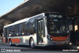 TRANSPPASS - Transporte de Passageiros 8 1542 na cidade de São Paulo, São Paulo, Brasil, por Nicolas Matheusz. Número da foto: #11668856.