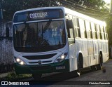Ônibus Particulares 938 na cidade de São Lourenço da Mata, Pernambuco, Brasil, por Vinicius Fernando. Número da foto: #11713546.