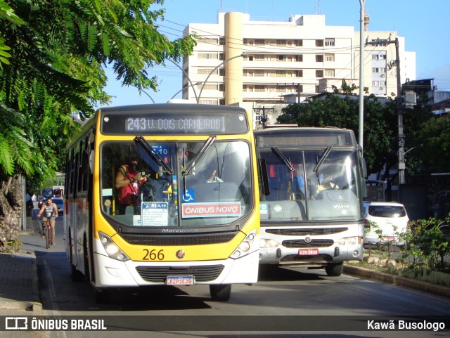 Empresa Metropolitana 266 na cidade de Recife, Pernambuco, Brasil, por Kawã Busologo. Número da foto: #11716758.