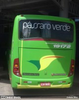 Pássaro Verde 19172 na cidade de Santa Bárbara, Minas Gerais, Brasil, por Antonio Silva. Número da foto: #11717299.
