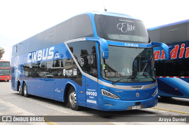 Cikbus  na cidade de La Serena, Elqui, Coquimbo, Chile, por Araya Daniel . Número da foto: #11720307.