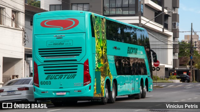 Eucatur - Empresa União Cascavel de Transportes e Turismo 6003 na cidade de Joinville, Santa Catarina, Brasil, por Vinicius Petris. Número da foto: #11722637.