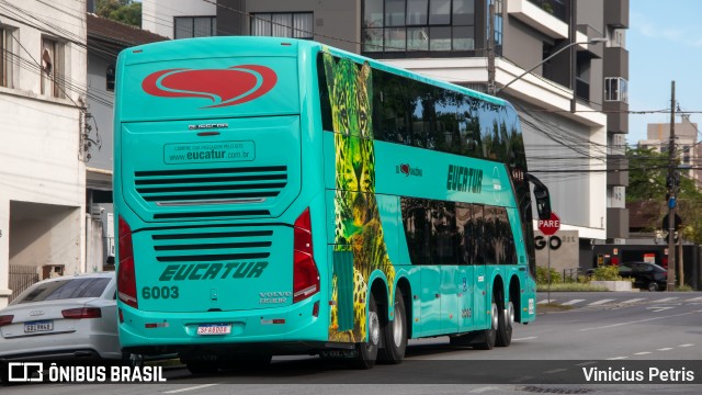 Eucatur - Empresa União Cascavel de Transportes e Turismo 6003 na cidade de Joinville, Santa Catarina, Brasil, por Vinicius Petris. ID da foto: 11722637.