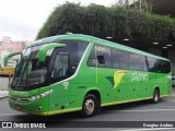 Pássaro Verde 15136 na cidade de Belo Horizonte, Minas Gerais, Brasil, por Douglas Andrez. Número da foto: #:id.