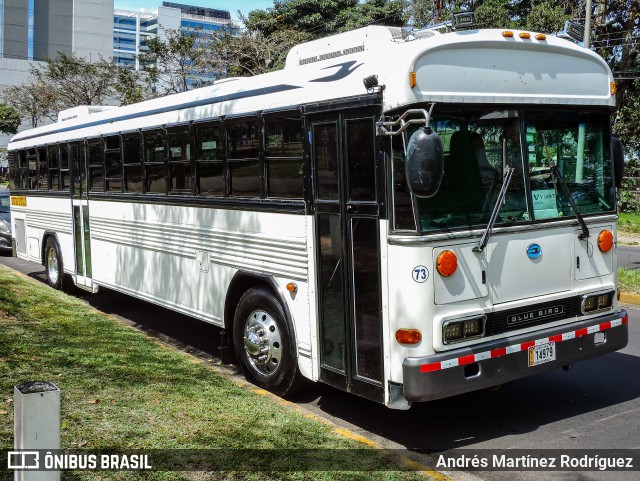 Autobuses sin identificación - Costa Rica 73 na cidade de Mata Redonda, San José, San José, Costa Rica, por Andrés Martínez Rodríguez. Número da foto: #11729829.