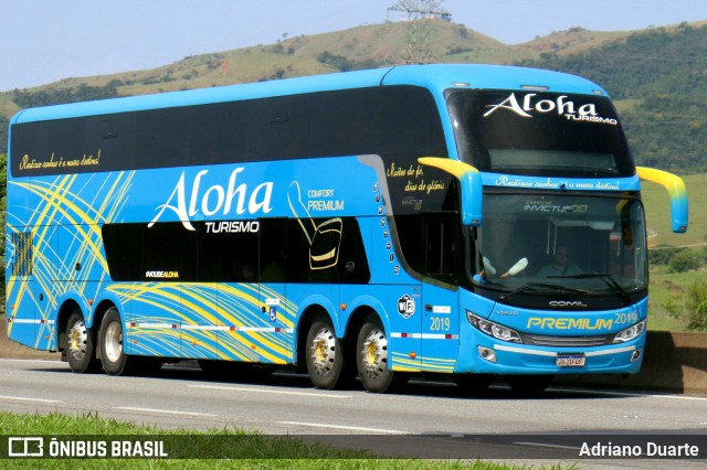 Aloha Turismo 2019 na cidade de Roseira, São Paulo, Brasil, por Adriano Duarte. Número da foto: #11729189.