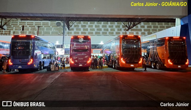 Evolução Transportes e Turismo 3120 na cidade de Goiânia, Goiás, Brasil, por Carlos Júnior. Número da foto: #11730422.