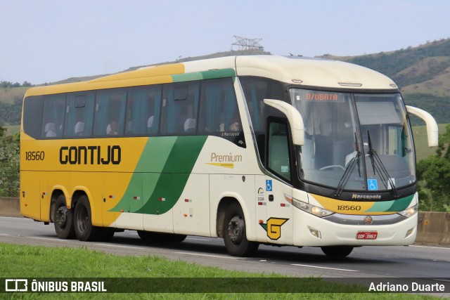 Empresa Gontijo de Transportes 18560 na cidade de Roseira, São Paulo, Brasil, por Adriano Duarte. ID da foto: 11729170.