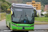 Pássaro Verde 23184 na cidade de Viçosa, Minas Gerais, Brasil, por Julio Cesar Euzebio Alves. Número da foto: #:id.