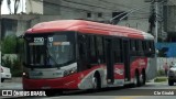 Himalaia Transportes > Ambiental Transportes Urbanos 4 1583 na cidade de São Paulo, São Paulo, Brasil, por Cle Giraldi. Número da foto: #11730675.