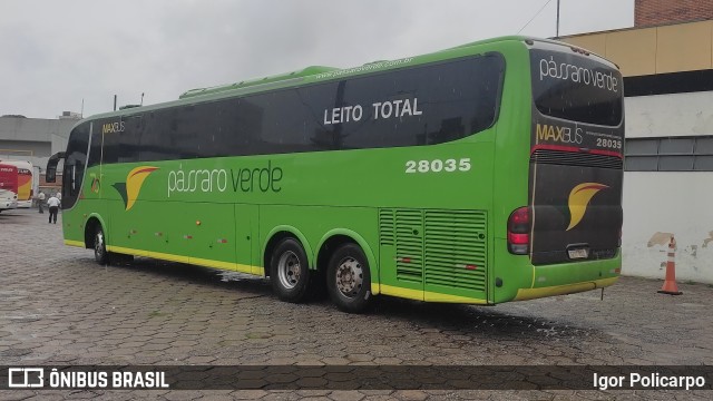 Pássaro Verde 28035 na cidade de Divinópolis, Minas Gerais, Brasil, por Igor Policarpo. Número da foto: #11732313.