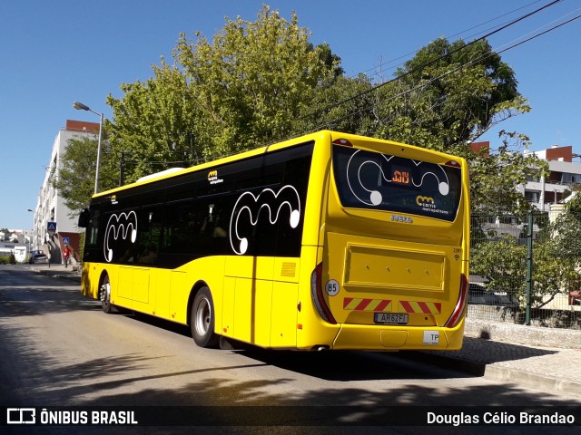 TST - Transportes Sul do Tejo 2391 na cidade de Almada, Setúbal, Portugal, por Douglas Célio Brandao. ID da foto: 11734347.