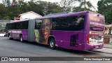 Jundiá Transportadora Turistica 1802 na cidade de São Roque, São Paulo, Brasil, por Flávio Henrique Cesar. Número da foto: #:id.